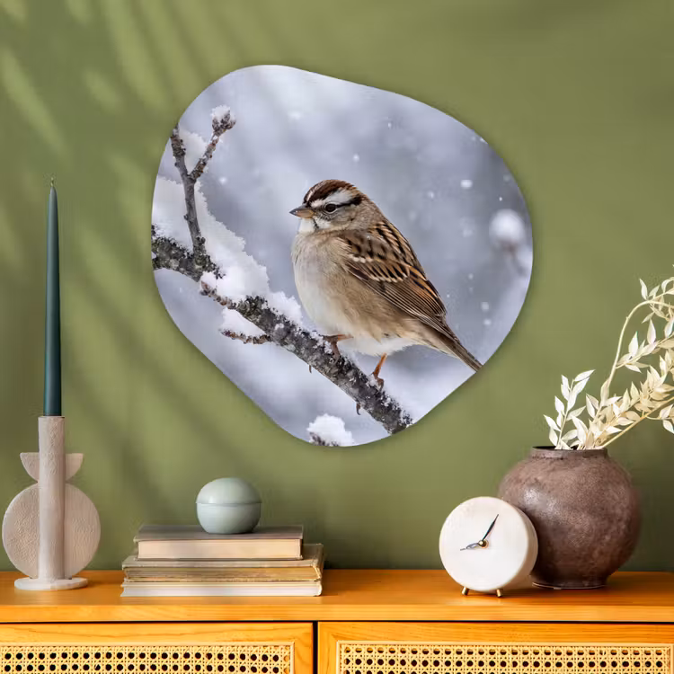 Organische vorm aluminium - Vogel - Tak - Sneeuw - Winter — 2