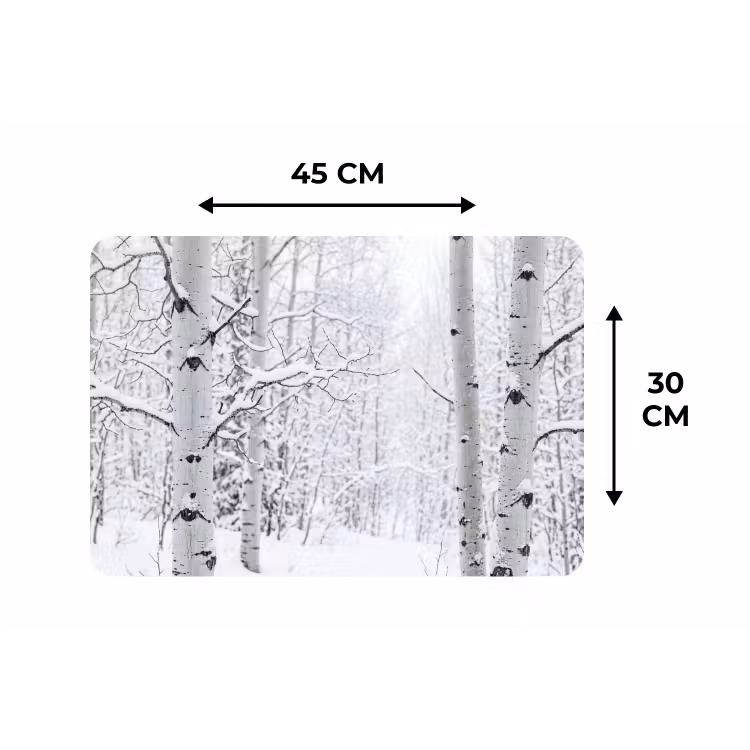 Placemat - 6 stuks - Berkenbomen - Sneeuw - Winter - Bos - Wit — 3