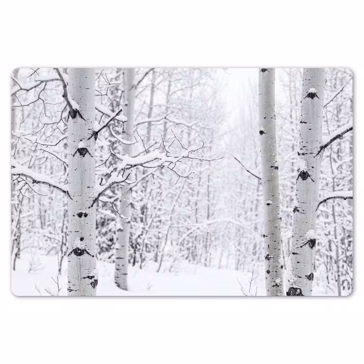 Placemat - 6 stuks - Berkenbomen - Sneeuw - Winter - Bos - Wit — 7