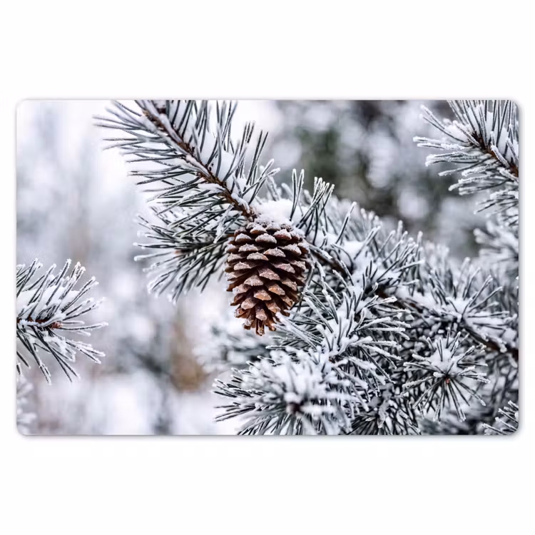 Placemat - 6 stuks - Dennenappel - Tak - Sneeuw - Winter - Sfeervol — 7