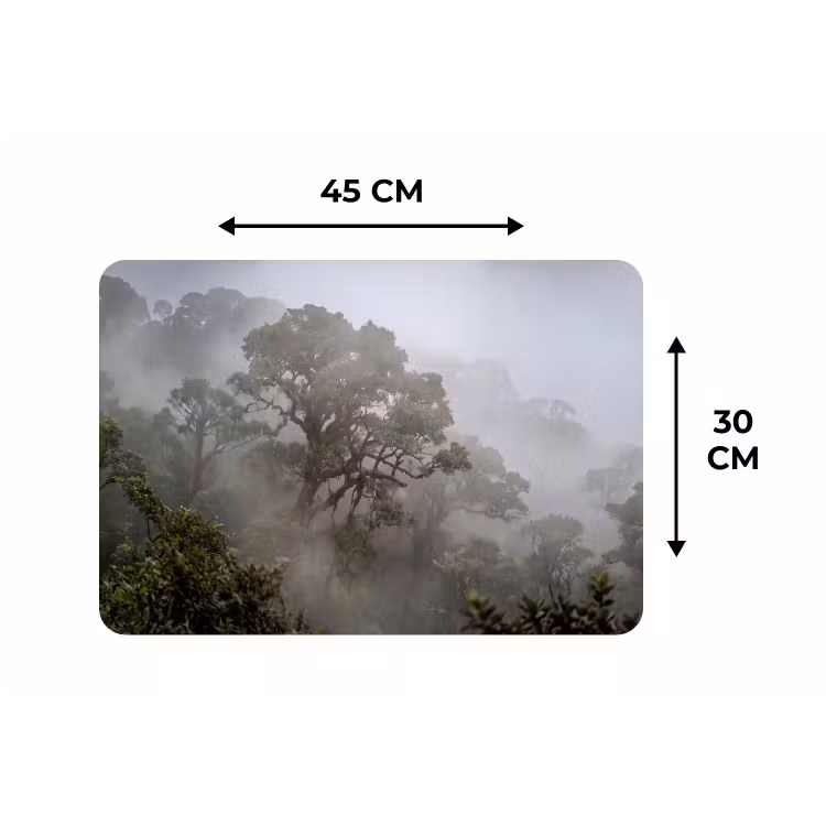 Placemat - 6 stuks - Boom - Mistig - Bos - Groen - Natuur — 3