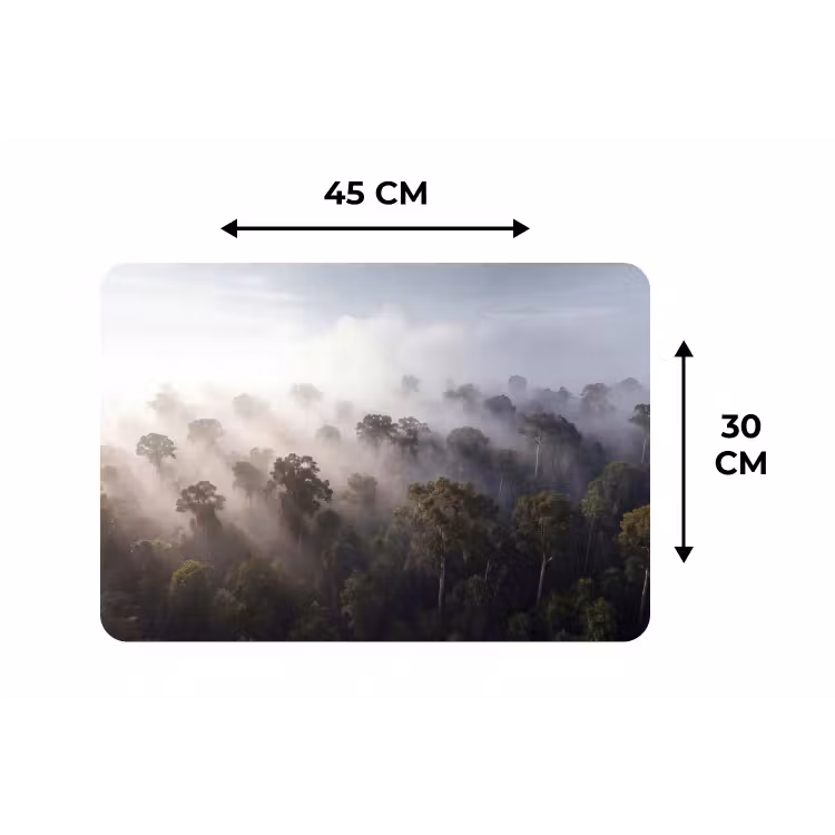 Placemat - 6 stuks - Bos - Mist - Natuur - Groen — 3