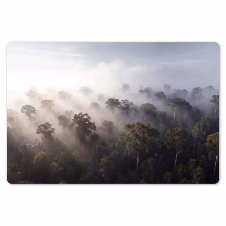 Placemat - 6 stuks - Bos - Mist - Natuur - Groen — 7