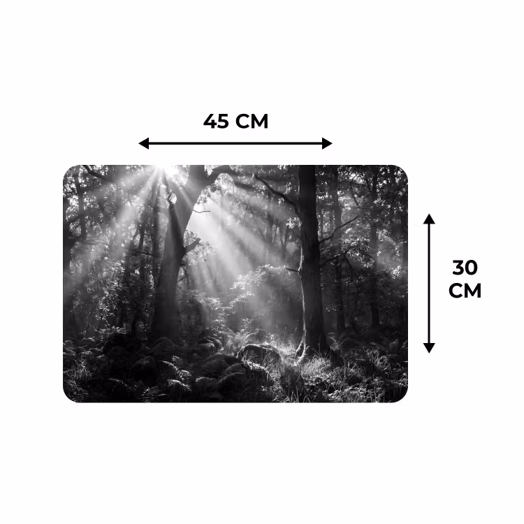 Placemat - 6 stuks - Bos - Lichtstralen - Natuur - Zwart-wit — 3