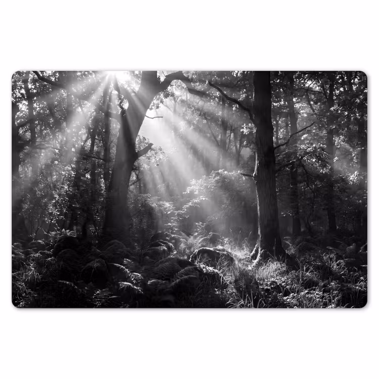 Placemat - 6 stuks - Bos - Lichtstralen - Natuur - Zwart-wit — 7