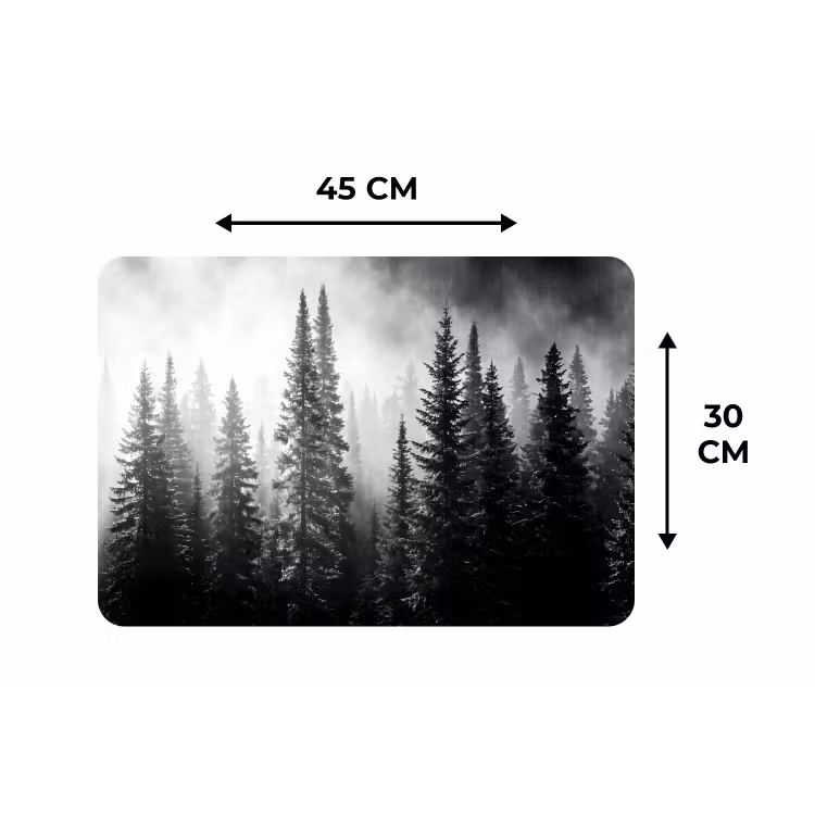 Placemat - 6 stuks - Bos - Mist - Winter - Monochroom - Natuur — 3