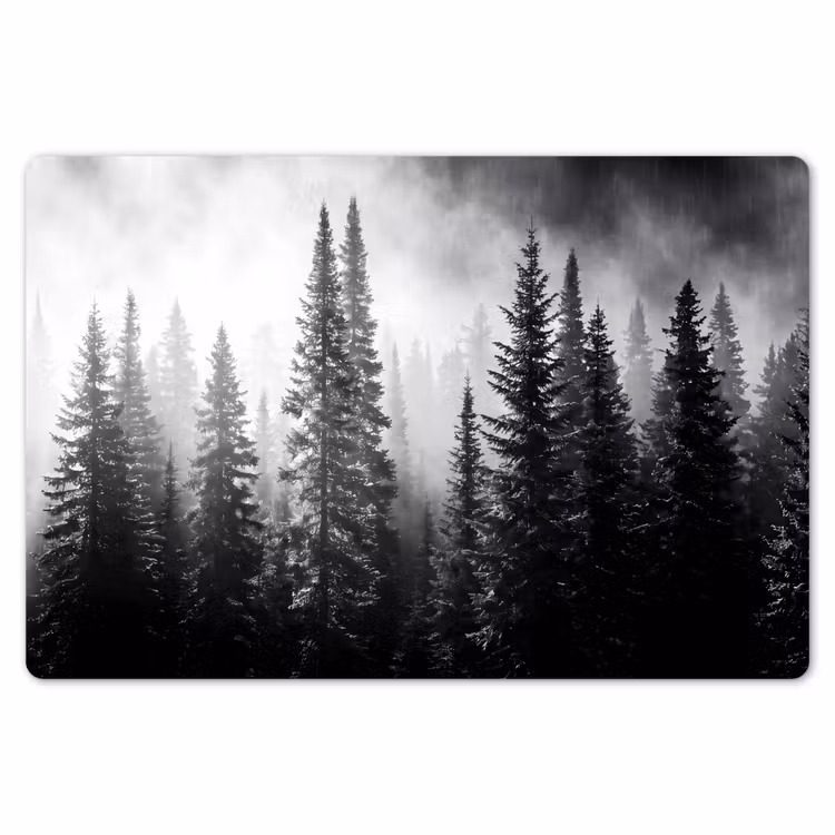 Placemat - 6 stuks - Bos - Mist - Winter - Monochroom - Natuur — 7