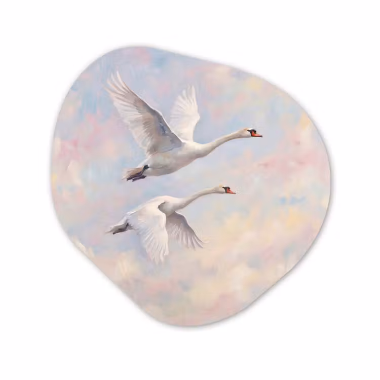 Organische vorm aluminium - Vogel - Vliegend - Lucht - Modern - Pastel — 1