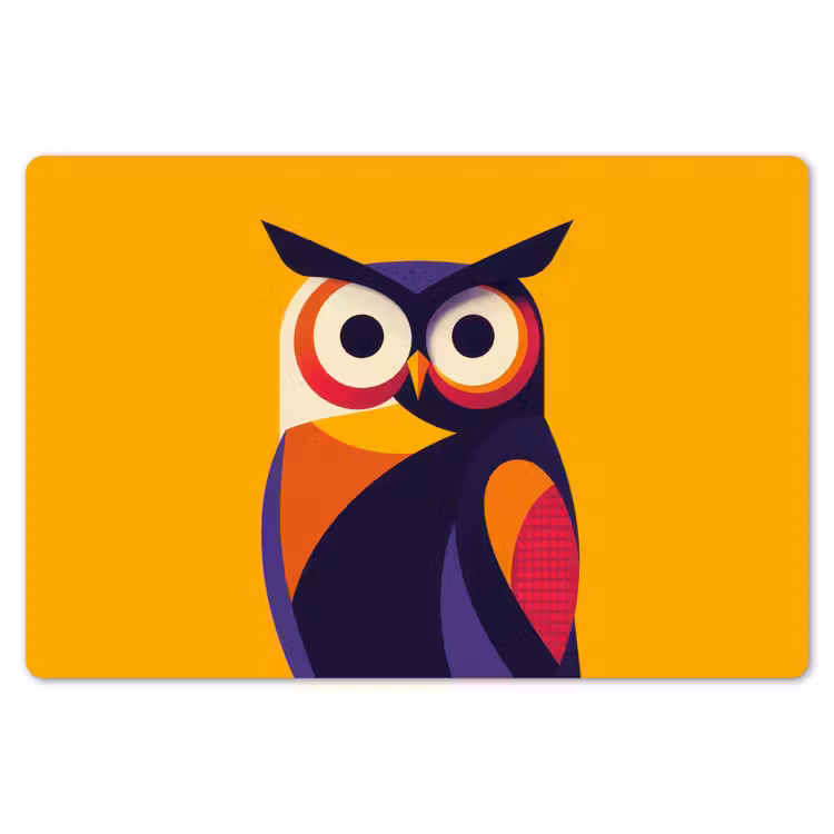 Placemat - 6 stuks - Uil - Grafisch - Kleurrijk - Ogen — 7
