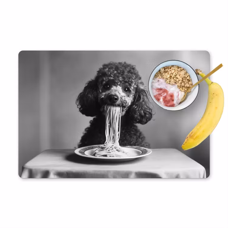 Placemat - 6 stuks - Poedel - Hond - Zwart - Wit - Schattig - Pasta — 1