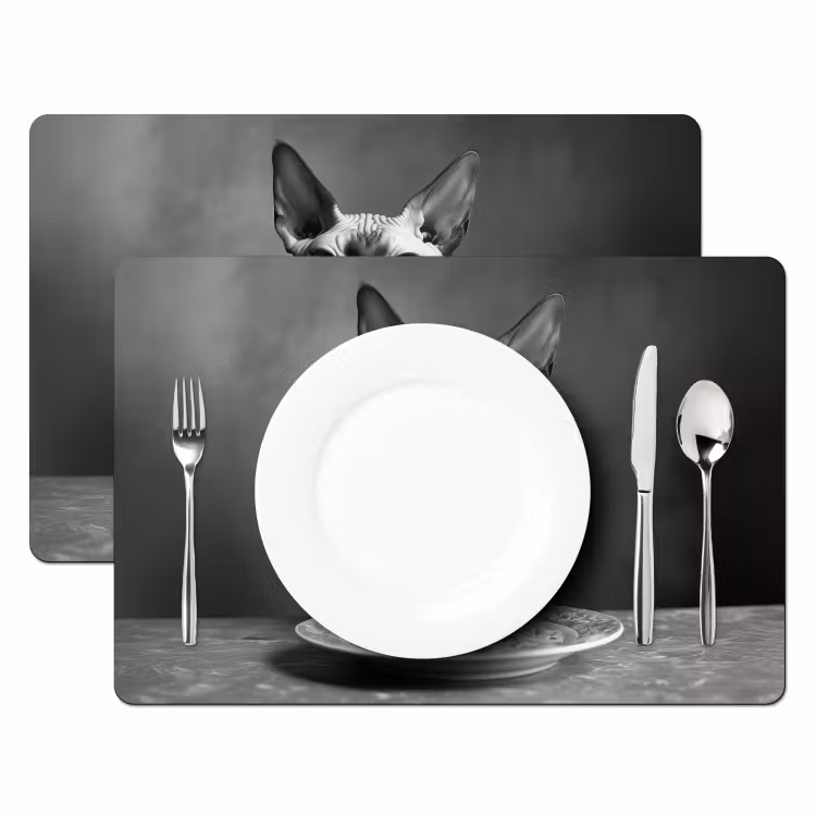 Placemat - 6 stuks - Sphynx - Kat - Dieren - Humor - Spaghetti - Zwart Wit — 2