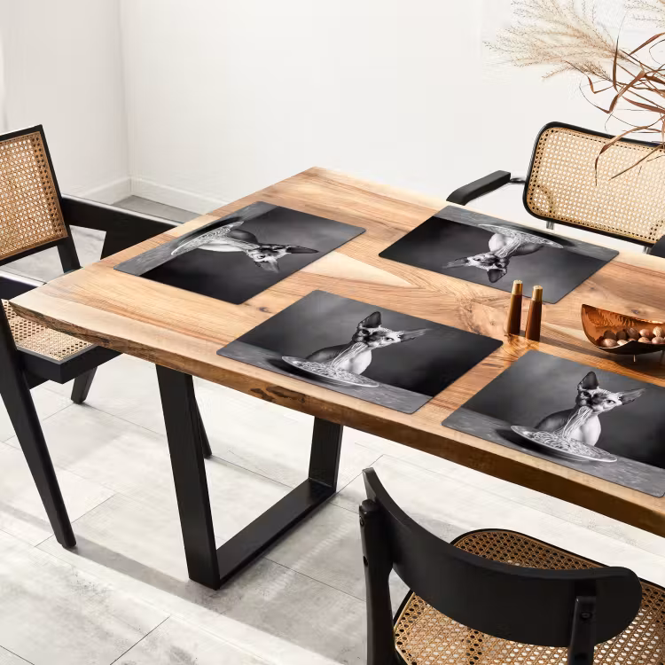 Placemat - 6 stuks - Sphynx - Kat - Dieren - Humor - Spaghetti - Zwart Wit — 5