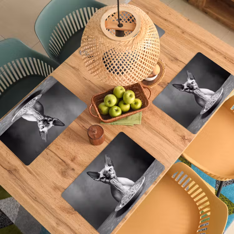 Placemat - 6 stuks - Sphynx - Kat - Dieren - Humor - Spaghetti - Zwart Wit — 6