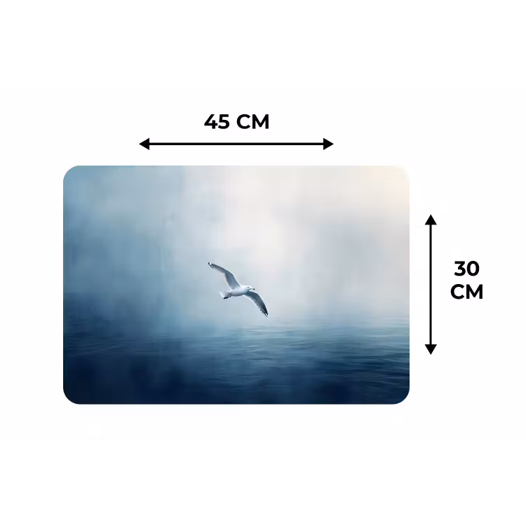 Placemat - 6 stuks - Meeuw - Wit - Zee - Mistig — 3