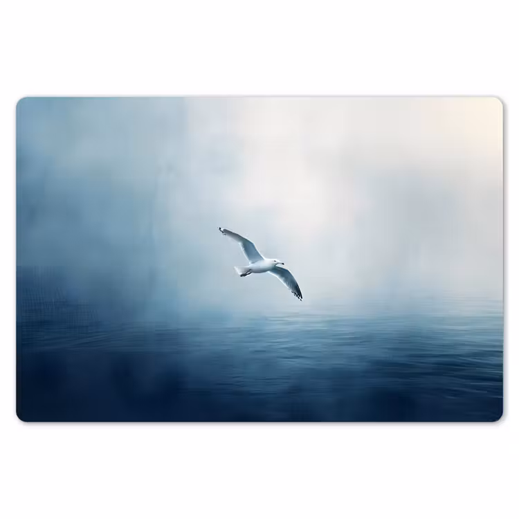 Placemat - 6 stuks - Meeuw - Wit - Zee - Mistig — 7