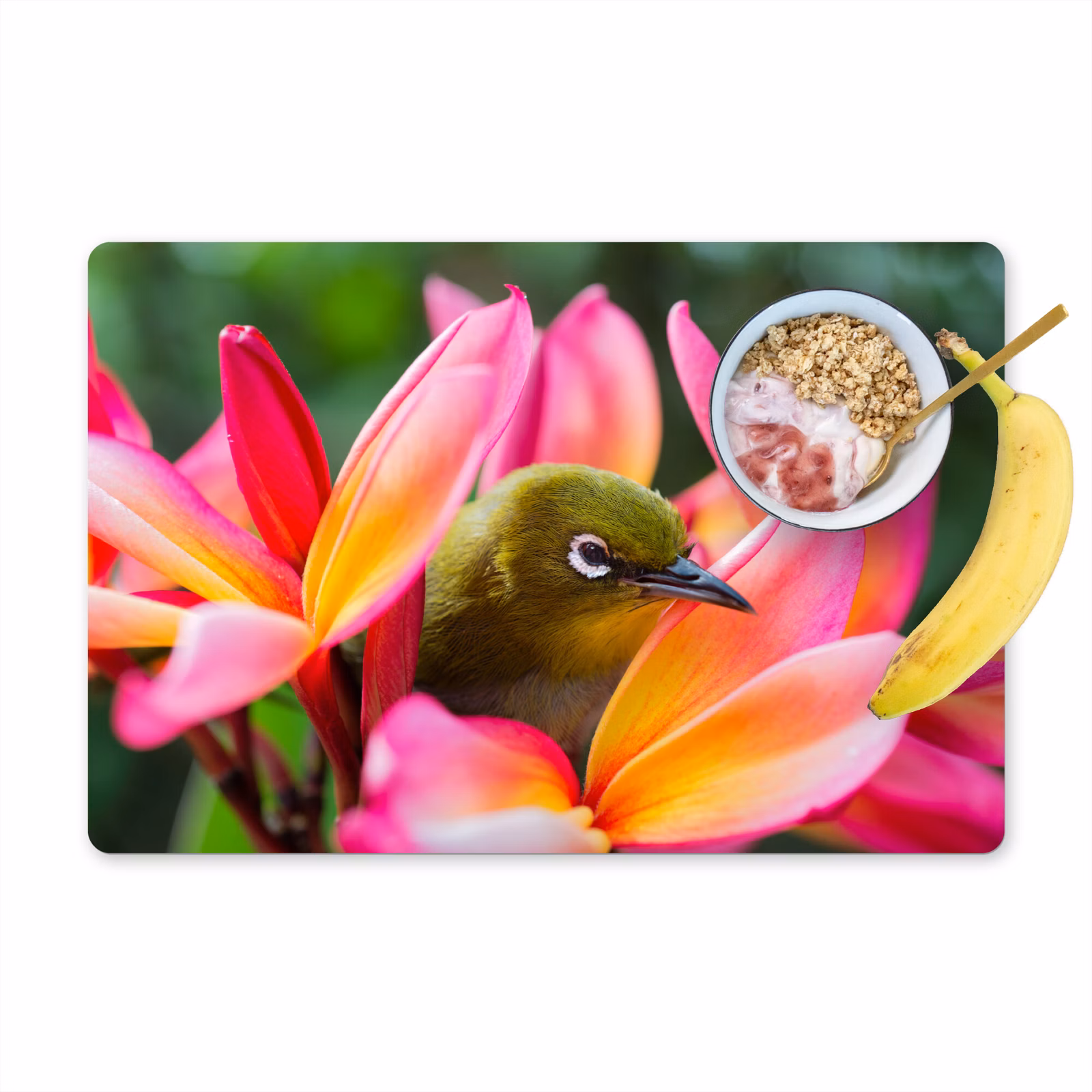 Placemat - 6 stuks - Tropische vogel tussen roze bloem — 1