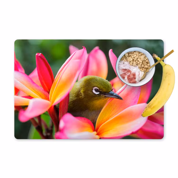 Placemat - 6 stuks - Tropische vogel tussen roze bloem — 1