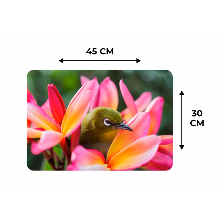 Placemat - 6 stuks - Tropische vogel tussen roze bloem — 3