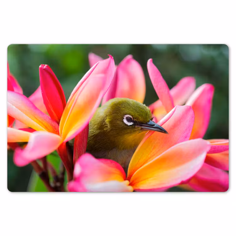 Placemat - 6 stuks - Tropische vogel tussen roze bloem — 7