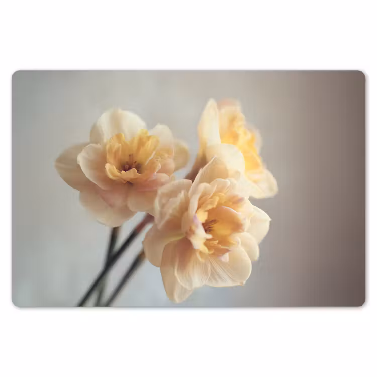 Placemat - 6 stuks - Narcissen - Geel - Bloemblaadjes — 7