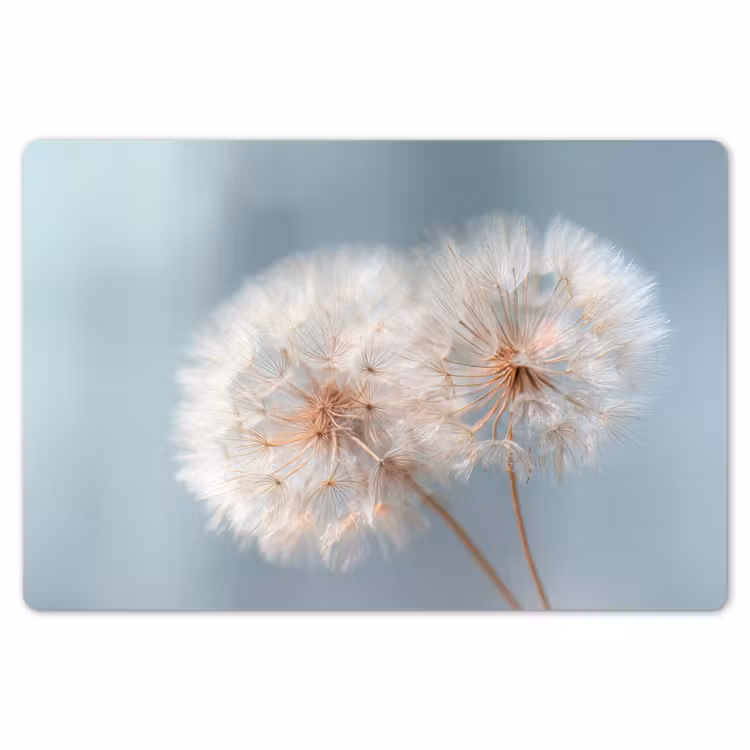 Placemat - 6 stuks - Paardenbloemen - Pluisjes - Wit — 7