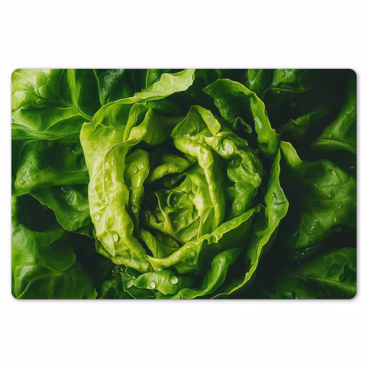 Placemat - 6 stuks - Groente - Sla - Groen — 7