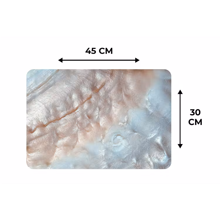 Placemat - 6 stuks - Schelpen - Abstract - Natuur — 2