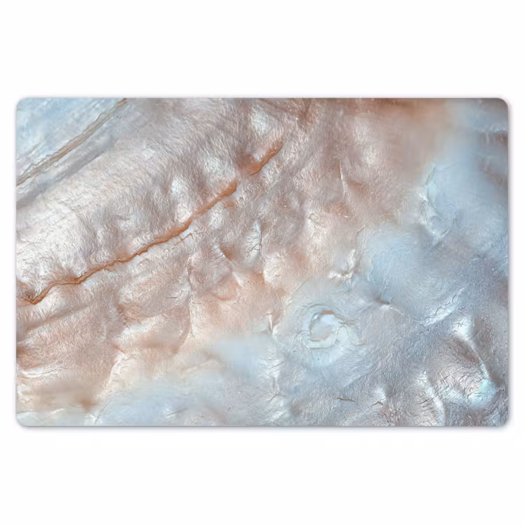 Placemat - 6 stuks - Schelpen - Abstract - Natuur — 6