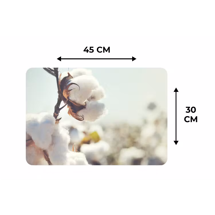 Placemat - 6 stuks - Planten - Bloem - Tak - Natuur — 2