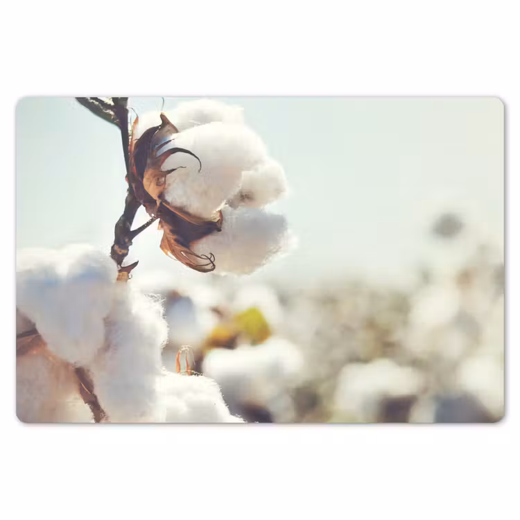 Placemat - 6 stuks - Planten - Bloem - Tak - Natuur — 6
