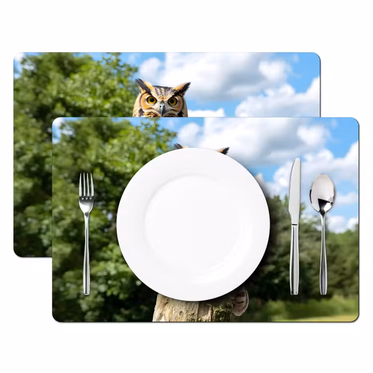 Placemat - 6 stuks - Uil - Boomstronk - Bos - Lucht — 2