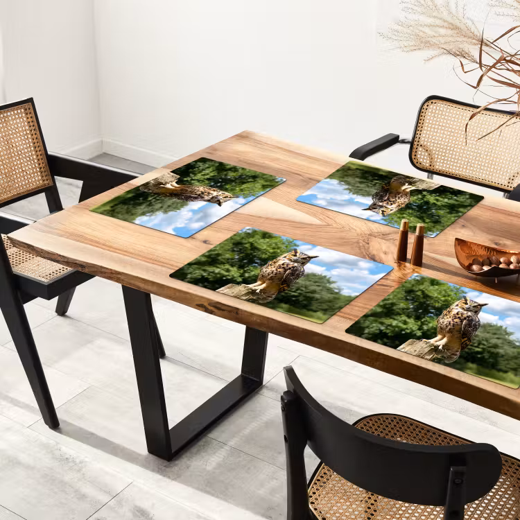 Placemat - 6 stuks - Uil - Boomstronk - Bos - Lucht — 5