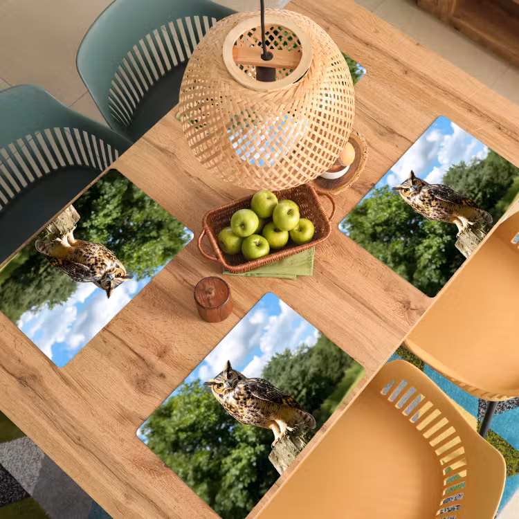 Placemat - 6 stuks - Uil - Boomstronk - Bos - Lucht — 6