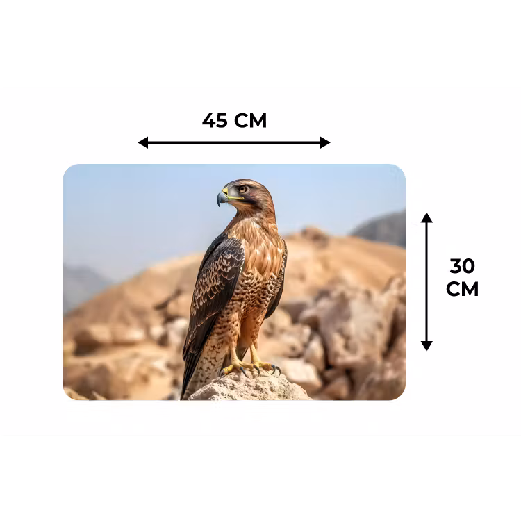 Placemat - 6 stuks - Valk - Vogel - Rots - Macht — 3