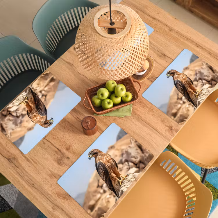 Placemat - 6 stuks - Valk - Vogel - Rots - Macht — 6