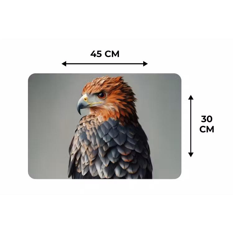 Placemat - 6 stuks - Vogel - Realistisch - Veren - Bruin — 3