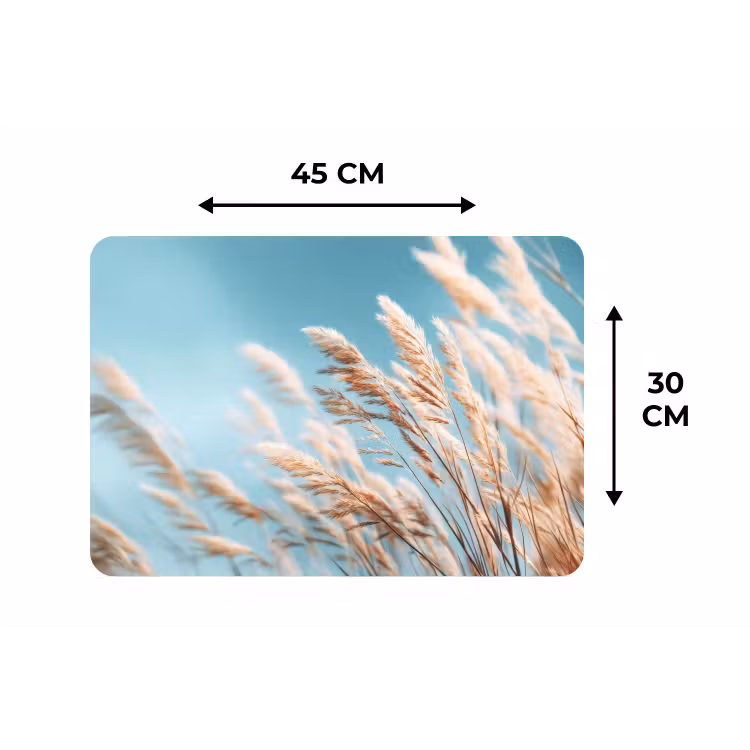 Placemat - 6 stuks - Siergras - Wind - Lichtbruin — 3