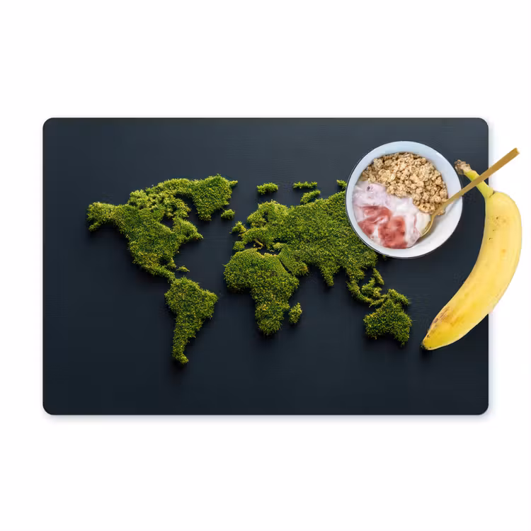 Placemat - 6 stuks - Wereldkaart - Mos -Levendig effect — 1