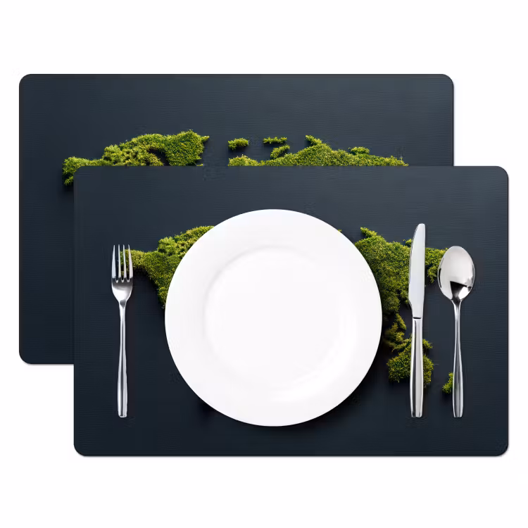 Placemat - 6 stuks - Wereldkaart - Mos -Levendig effect — 2