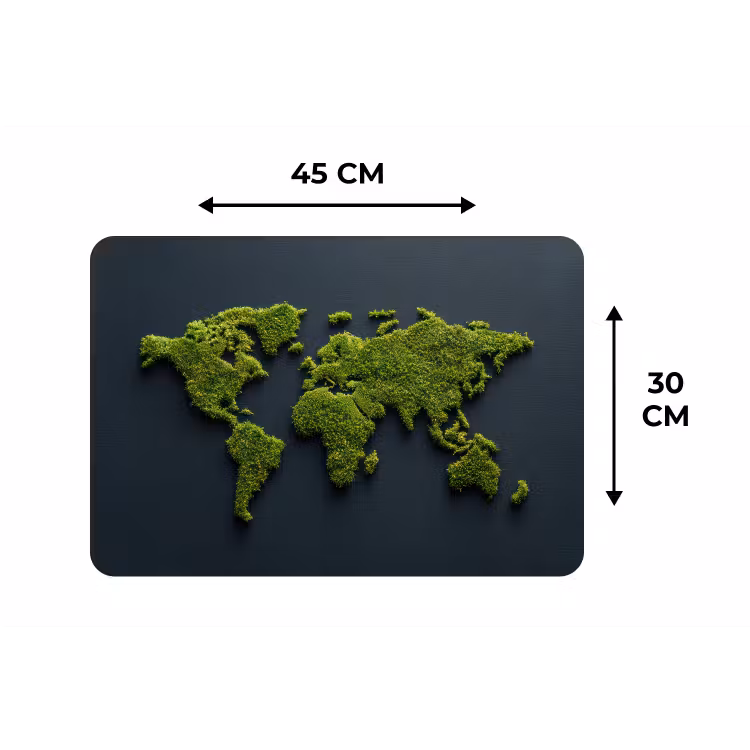 Placemat - 6 stuks - Wereldkaart - Mos -Levendig effect — 3