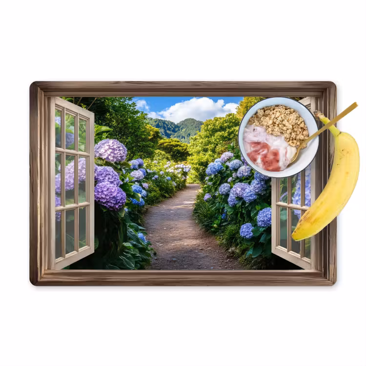Placemat - 6 stuks - Doorkijk - Hortensia - Pad - Natuur — 1