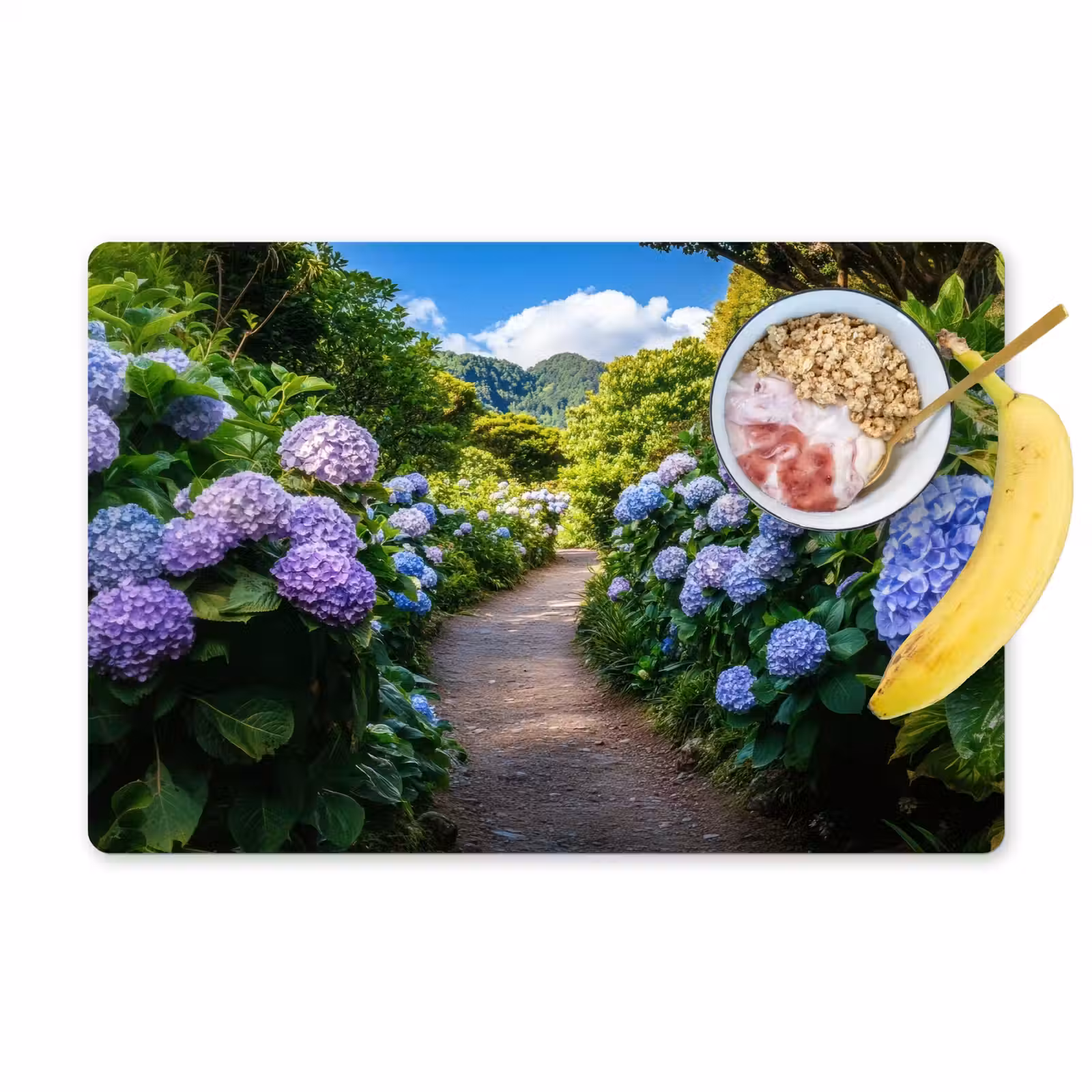 Placemat - 6 stuks - Hortsensia - Pad - Bloemen — 1