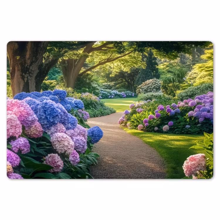 Placemat - 6 stuks - Hortensia- Park - Pad — 7
