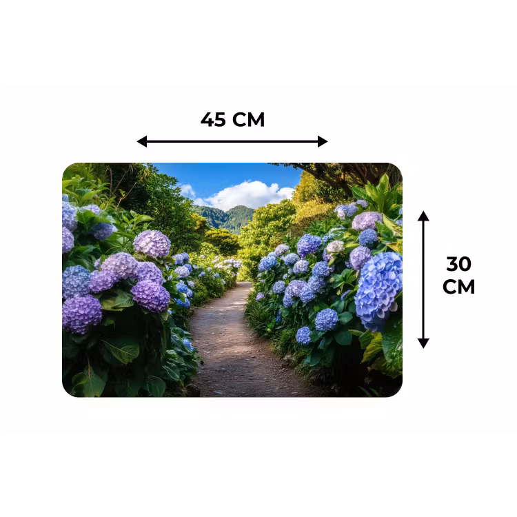 Placemat - 6 stuks - Hortsensia - Pad - Bloemen — 3