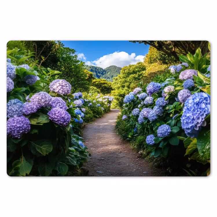Placemat - 6 stuks - Hortsensia - Pad - Bloemen — 7