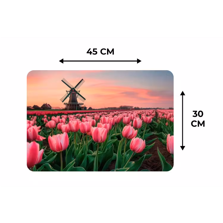 Placemat - 6 stuks - Tulpen - Molen - Nederland — 3
