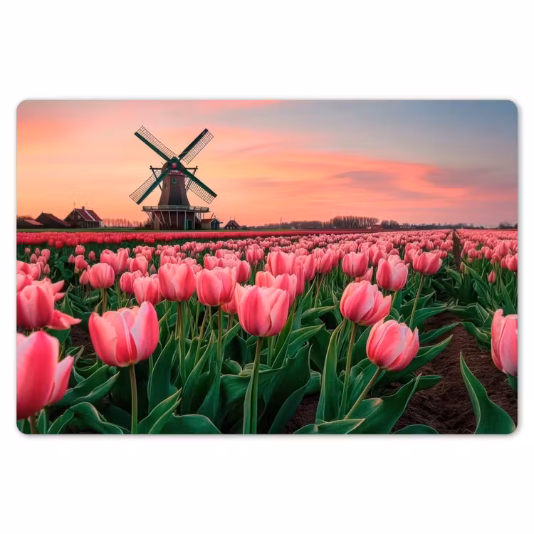 Placemat - 6 stuks - Tulpen - Molen - Nederland — 7