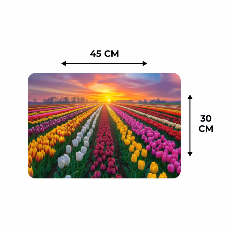 Placemat - 6 stuks - Tulpenveld - Zonsondergang - Kleurrijk — 3