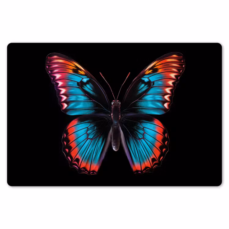 Placemat - 6 stuks - Vlinder - Kleuren - Dier - Zwart — 7