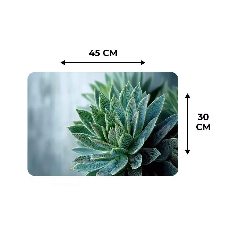 Placemat - 6 stuks - Vetplant - Bladeren - Groen - Wazig — 3